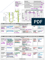 Renal Pharm. 