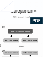 Programa de Especialización en Gestión Regional y Local: Módulo: Legislación Municipal