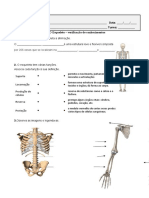 Avaliação Do Esqueleto 2020