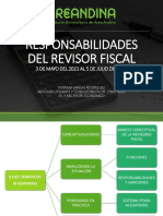 Dispositivas Revisoria Fiscal Semana 1 y 2-4