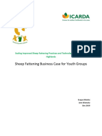 Report Sheep Fattening Business Case For Youth Gro... (Sheep Fattening Business Case For Youth Groups)