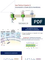 Apuntes CT3 Transporte y Comunicaci N A Trav S de La Membrana 2021