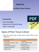 Chapter 6 Types of Tissue Culture