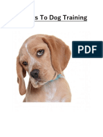 Secrets To Dog Training