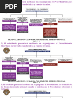 Procedimiento Penal Abreviado y Por Flagrancia