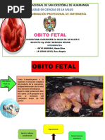 Exposicion Grupo 11 Obito Fetal