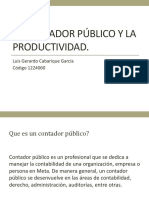 El Contador Publico y La Productividad