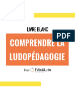 Felix Ludo Livre Blanc 1 2020