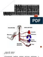 Sistema Neurovegetativo