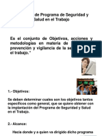 Definición de Programa de Seguridad y Salud en El Trabajo