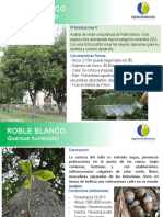 Roble