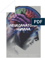 Apostila de Neuroanatomia