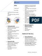 (Zoolone) Animal Cell