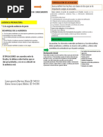 Mapa Conceptual, Audiencia Preparatoria