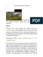 Cómo Diferenciar A Un Caballo