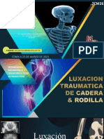 Luxación Traumatica de Cadera y Rodilla 