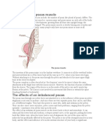 Anatomy of The Psoas Muscle