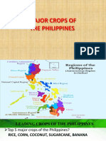 Major Crops in The Philippines