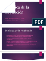 Biofísica de La Respiración