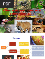 5 - Obtenção de Matéria Heterotroficos - Parte S.D.