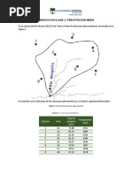 Ejercicio 2. Precipitación Media