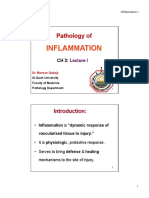 CH 2 - Inflammation I (Compatibility Mode)