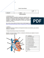 Bio 3