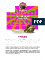 04 - Germinação