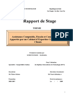 Rapport de Stage. Assistance Comptable, Fiscale Et Conseils Sociaux Apportés Par Un Cabinet D Expertise Comptable À Ses Clients THEME