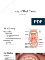 Anatomy of Oral Cavity: DR Farhan Fader