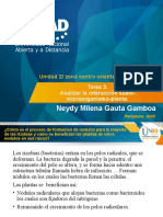 Analizar La Interacción Suelo-Microorganismo-Planta - Neydy Gauta