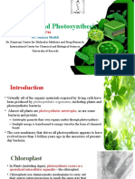 Chloroplasts and Photosynthesis