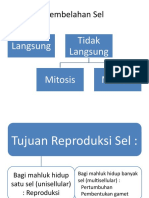 Pembelahan Sel: Langsung Tidak Langsung Mitosis Meiosis