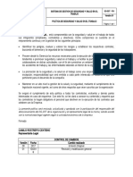 Politica de Seguridad y Salud en El Trabajo P01