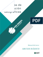 Manual - Arcgis Básico