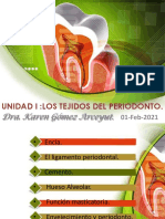 Periodoncia I, Unidad I