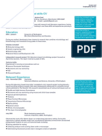 An Example of A Technical Skills CV