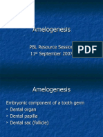 Amelogenesis