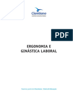 Ergonomia Laboral e Ginástica