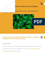 Fisiología Sistema Nervioso. Brodman Vs Luria