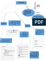 Mapa Conceptual Exepciones