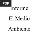 Informe El Medio Ambiente