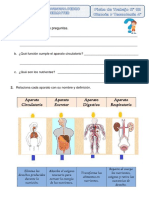 Ficha Práctica - La Nutrición 4° P