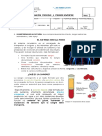 Prueba Sexto A-B