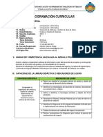 Programación Curricular Análisis y Diseño de Sistemas