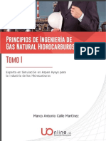 Tomo I Principios de Ingenieria de Gas Natural Hidrocarburos