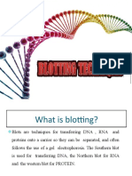 Blotting Techniques