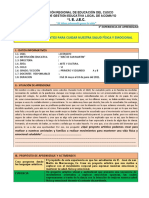 3° Experiencia de Aprendizaje Ciclo VI