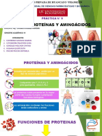 Proteinas y Aminoacidos