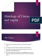 Histology of Uterus and Vagina